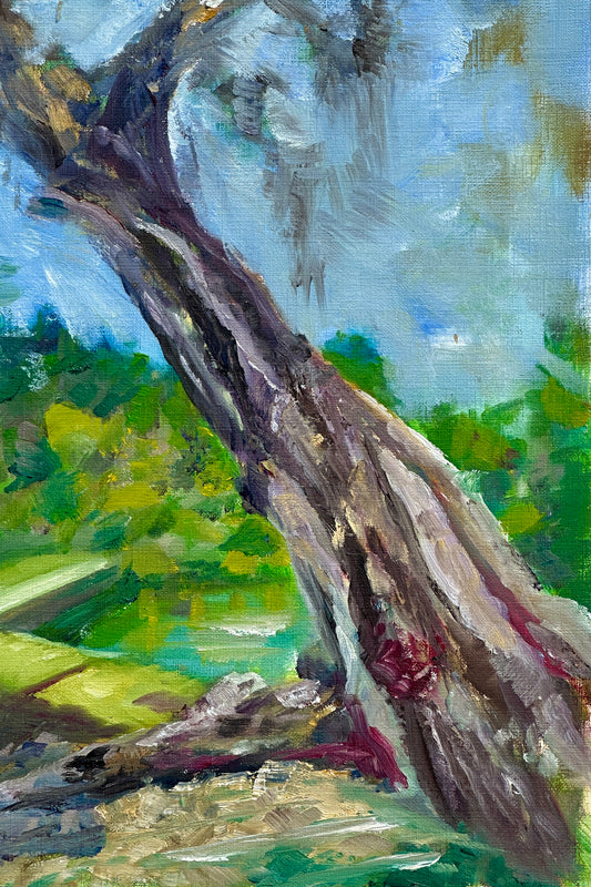 Florida Bayou Tree - Original Oil Painting