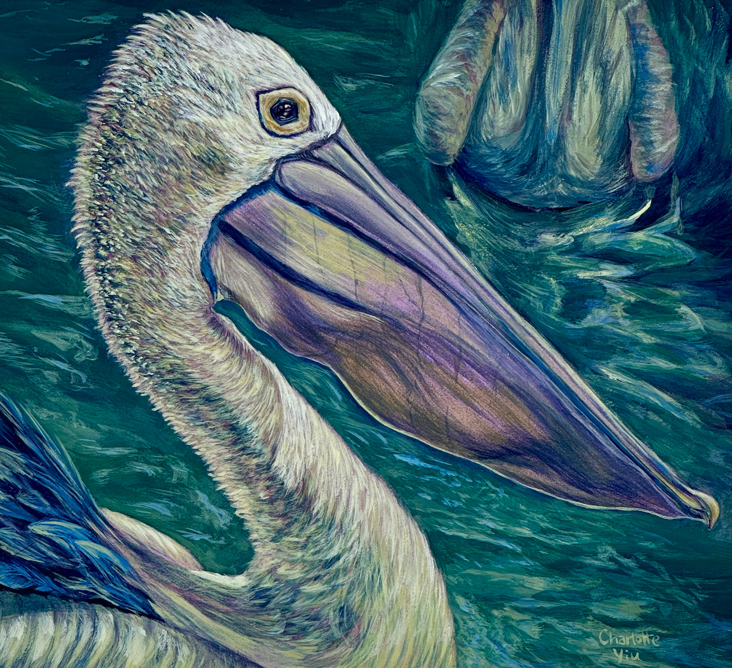 Pelican - Original Acrylic Painting