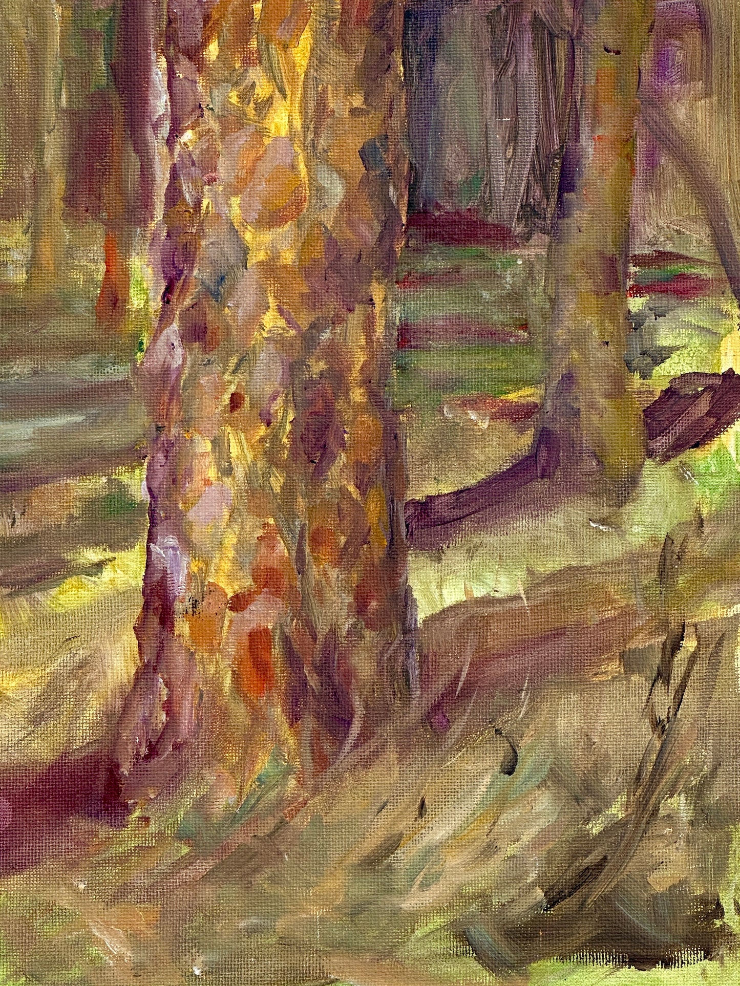 Ringling Museum Trees- Original Oil Painting